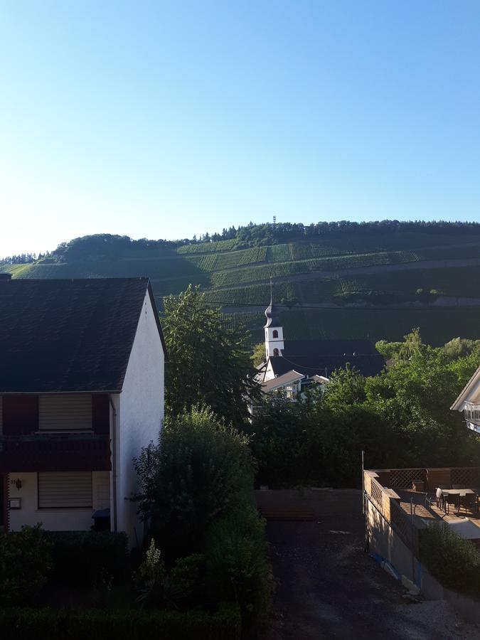 Gaestehaus Jufferpanorama Brauneberg Exterior foto