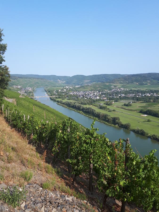 Gaestehaus Jufferpanorama Brauneberg Exterior foto