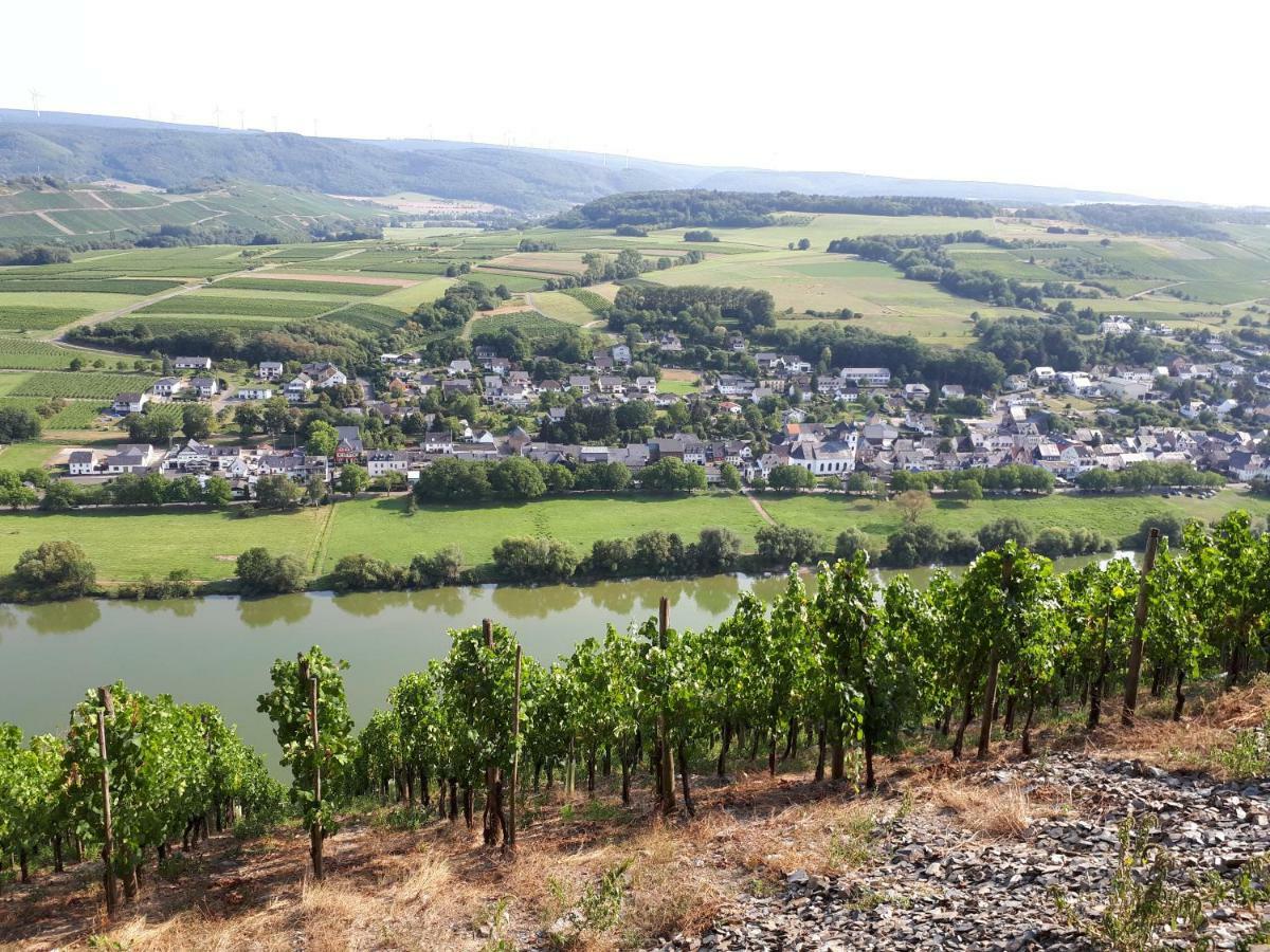 Gaestehaus Jufferpanorama Brauneberg Exterior foto